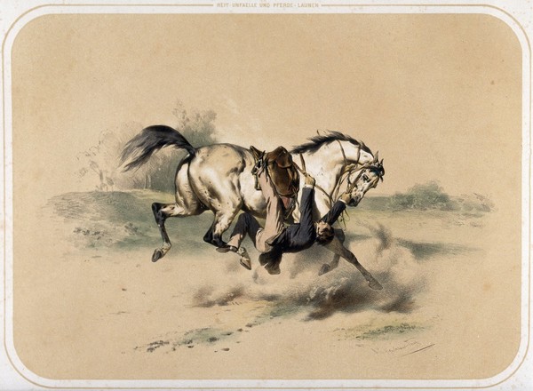 A rider has slipped sideways from his saddle and is trapped underneath his cantering horse with one foot in the stirrup; he clings with his hands to the rein and harness. Coloured lithograph by A. Strassgschwandtner after himself, ca. 1860.