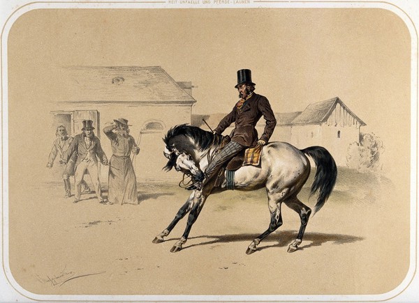 A horse bites the shin of its grimacing rider, in a stable-yard; the stable owner (?) and two other men look on in horror. Coloured lithograph by A. Strassgschwandtner after himself, ca. 1860.