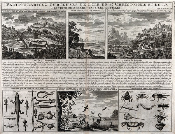 St. Kitts: six scenes. Engraving by H.A. Châtelain, 1732.