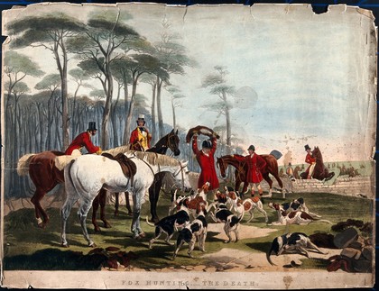 A huntsman at the death, surrounded by horses and hounds, holding up the body of the fox. Coloured etching by J. Mackrell after J. F. Herring, 1846.