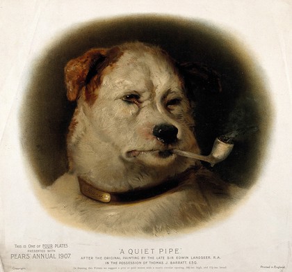 A dog smoking a pipe, with 'Pears' inscribed on his collar. Chromolithograph after E. Landseer.