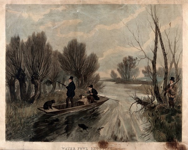 Hunting waterfowl on a river in January: two men and their dogs are shown in a punt, while another man stands on the riverbank, holding a rifle. Coloured aquatint by R. G. Reeve after R. B. Davies, 1836.