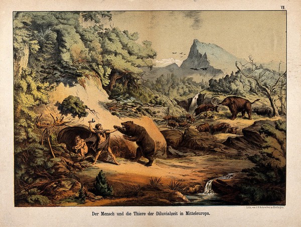 A prehistoric man defends his family from an attacking bear: the man's family huddle together in a cave, while mammoths, a tiger (?), a rhinocerus and cattle roam in the landscape beyond. Colour lithograph, 1840/1900?.