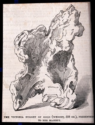 A nugget of gold from Australia presented to Queen Victoria. Wood engraving, 1853.
