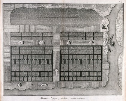 Plan of a salt-marsh. Etching by Bénard after L.J. Goussier.