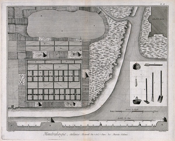 Plan of a salt-marsh and instruments used in the process of salt extraction. Etching by Bénard after L.J. Goussier.