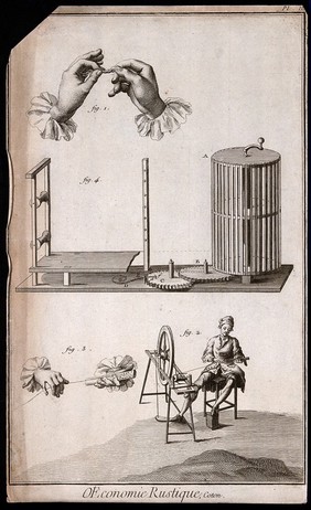 Textiles: sorting and spinning of cotton. Engraving.