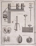 view Textiles: spinning machines and parts of a cotton plant. Engraving by D.Lizars.