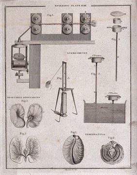Textiles: spinning machines and parts of a cotton plant. Engraving by D.Lizars.