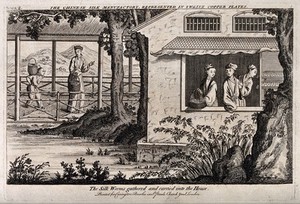 view Textiles: silk manufacture in China, gathering the eggs. Engraving.