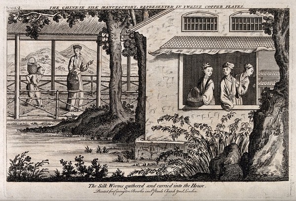 Textiles: silk manufacture in China, gathering the eggs. Engraving.