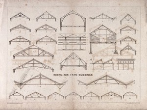 view Architecture: various roof trusses for agricultural buildings. Lithograph by Whiteman and Bass, 1866.