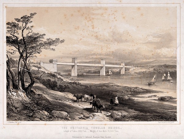 Civil engineering: the Menai box girder bridge. Lithograph by G. Hawkins after himself.