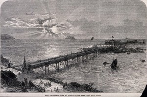 view Civil engineering: the pier at Weston-Super-Mare. Wood engraving after E.W., 1867.