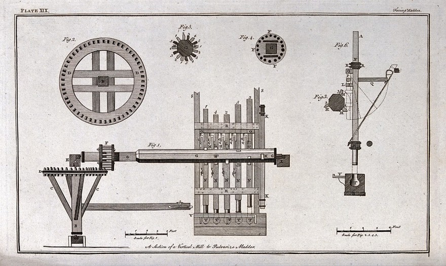 Pigments: a water-powered multiple pestle mill for crushing madder plants. Engraving.