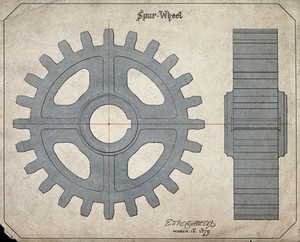 view Engineering: a large cogwheel, front and side elevations. Coloured drawing, 1875, by [].