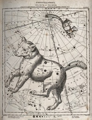 view Astronomy: a chart of the constellations Great Bear and Little Bear. Engraving.