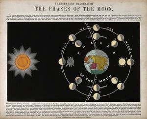 view Astronomy: a diagram of the phases of the moon. Engraving.