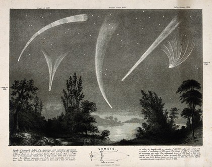 Astronomy: comets in a night sky. Engraving.