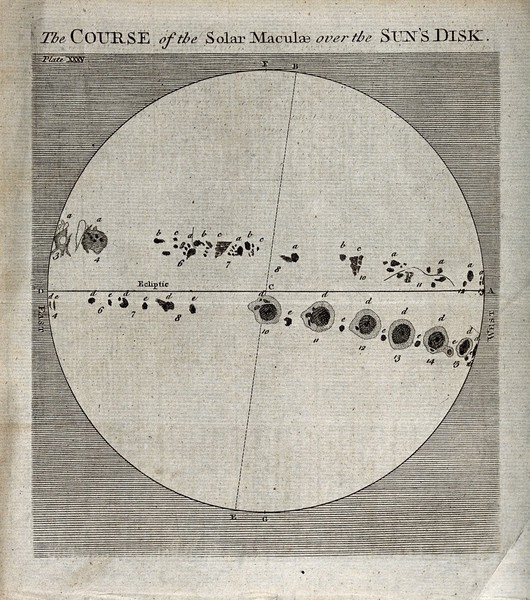 Astronomy: the sun, showing the progress of sunspot activity. Engraving by Seale.