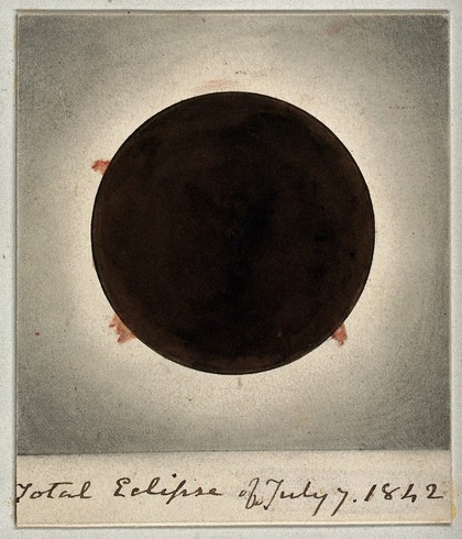 Astronomy: the corona of the sun, viewed during a total solar eclipse. Process print after a photograph, 1842.