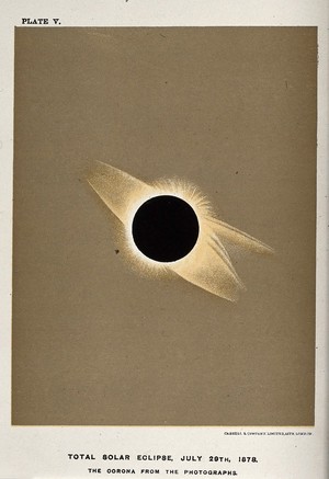 view Astronomy: the corona of the sun, viewed during a total solar eclipse. Process print after a photograph, 1878.