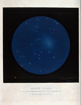 Astronomy: stars in the night sky, with Encke's comet. Coloured engraving by J. Basire, 1851 after C. Piazzi Smyth.
