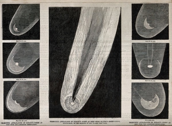 Astronomy: various views of Donati's comet in the night sky. Process print.