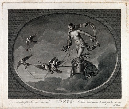 Astronomy: Venus in her chariot, drawn by doves. Engraving by C. Lasinio after Raphael, 1516.