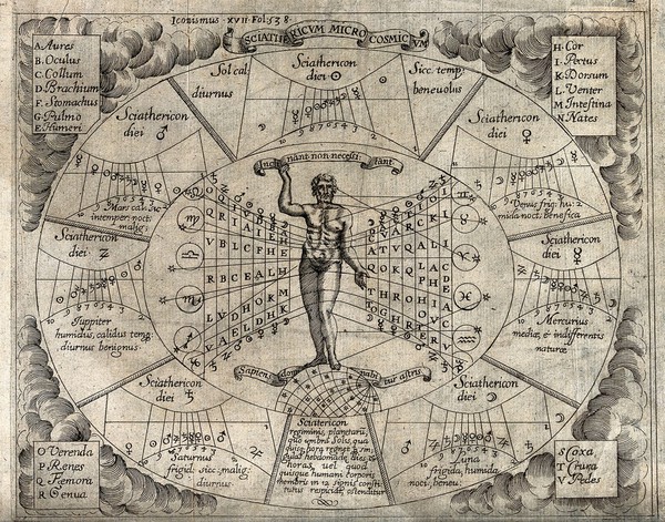 Astronomy: an oval chart showing how different planets affect different parts of a man's body. Engraving by P. Miotte.
