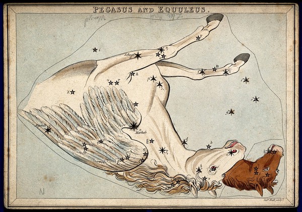 Astrology: signs of the zodiac, Pegasus. Coloured engraving.