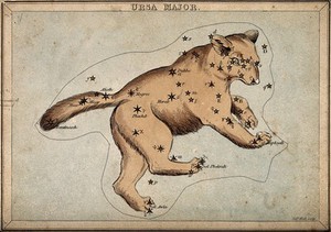 view Astrology: constellations, the Great Bear. Coloured engraving.