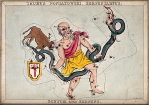 view Astrology: constellations, Taurus. Coloured engraving.