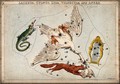view Astrology: various constellations. Coloured engraving by S. Hall.