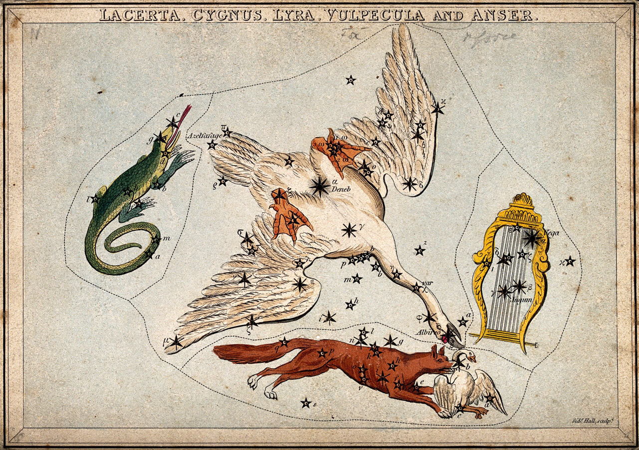 Astrology: various constellations. Coloured engraving by S. Hall., by Sidney Hall