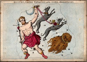 view Astrology: signs of the zodiac, Aquarius. Coloured engraving.