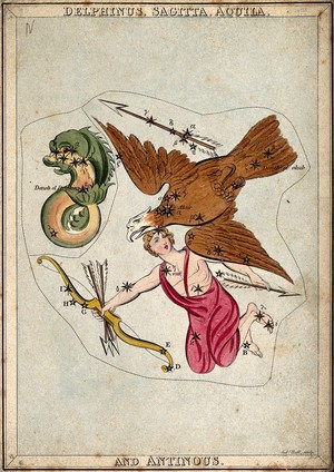 view Astrology: signs of the zodiac. Coloured engraving.