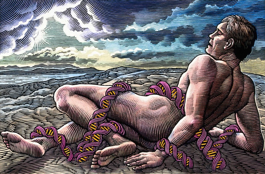 A man entwined in the coils of DNA. Scraperboard drawing by Bill Sanderson, 1990.