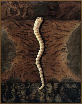 Parasites: a parasitical worm, shown much enlarged, with its hosts. Gouache painting by J. Svoboda after L.W. Sambon.