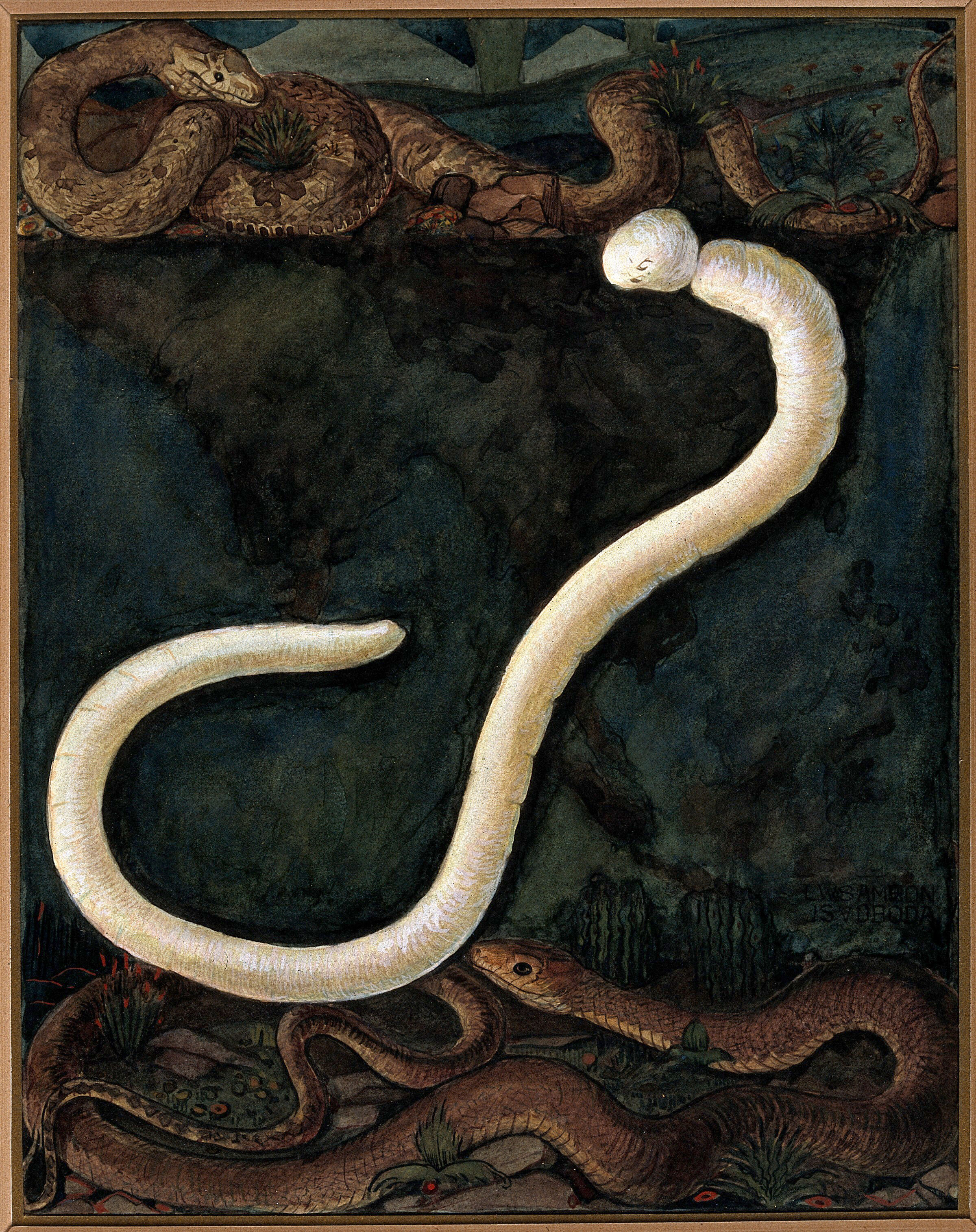 Parasites: a parasitical worm, shown much enlarged, with its hosts. Gouache  painting by J. Svoboda after L.W. Sambon.