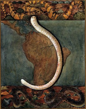 Parasites: a parasitical worm, shown much enlarged, with its hosts. Gouache painting by J. Svoboda after L.W. Sambon.