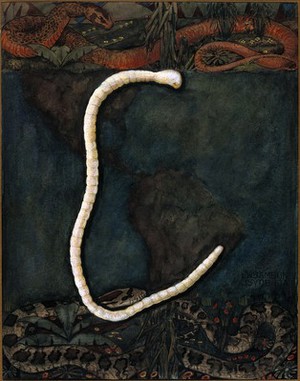 view Parasites: a parasitical worm, shown much enlarged, with its hosts. Gouache painting by J. Svoboda after L.W. Sambon.