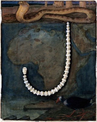 Parasites: a parasitical worm, shown much enlarged, with its hosts. Gouache painting by J. Svoboda after L.W. Sambon.