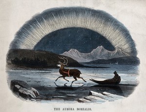 view Astronomy: the Aurora Borealis, with a reindeer-drawn sledge in the foreground. Coloured wood engraving by C. Whymper.