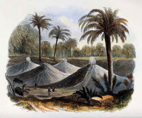 Geography: mounds of volcanic dust. Coloured wood engraving by C. Whymper.