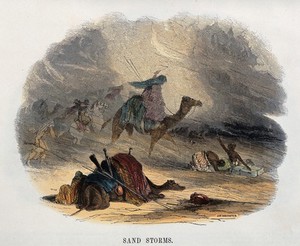 view Geography: sand-storms in North Africa. Coloured wood engraving by C. Whymper.