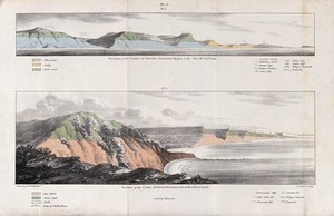 view Geology: sections of the Dorset and Devonshire coastline, showing types of rock. Coloured lithograph by G. Scharf after H. Cornish.