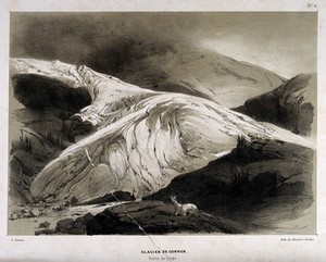 view Geology: the Gorner glacier, in the Valais. Lithograph by J. Schmid after A. Calame.