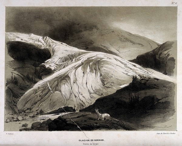 Geology: the Gorner glacier, in the Valais. Lithograph by J. Schmid after A. Calame.
