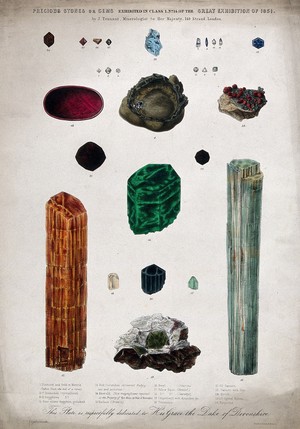 view Geology: various uncut semi-precious stones. Coloured lithograph by H. Sowerby after himself, 1851.